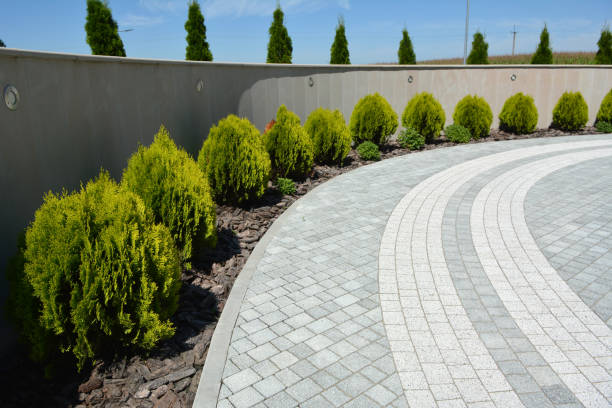 Best Driveway Repair Near Me  in Amerin Nyon, CA
